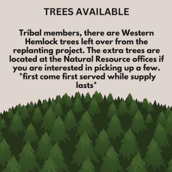 Trees available