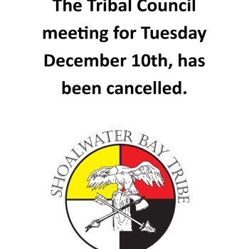 council cancelled